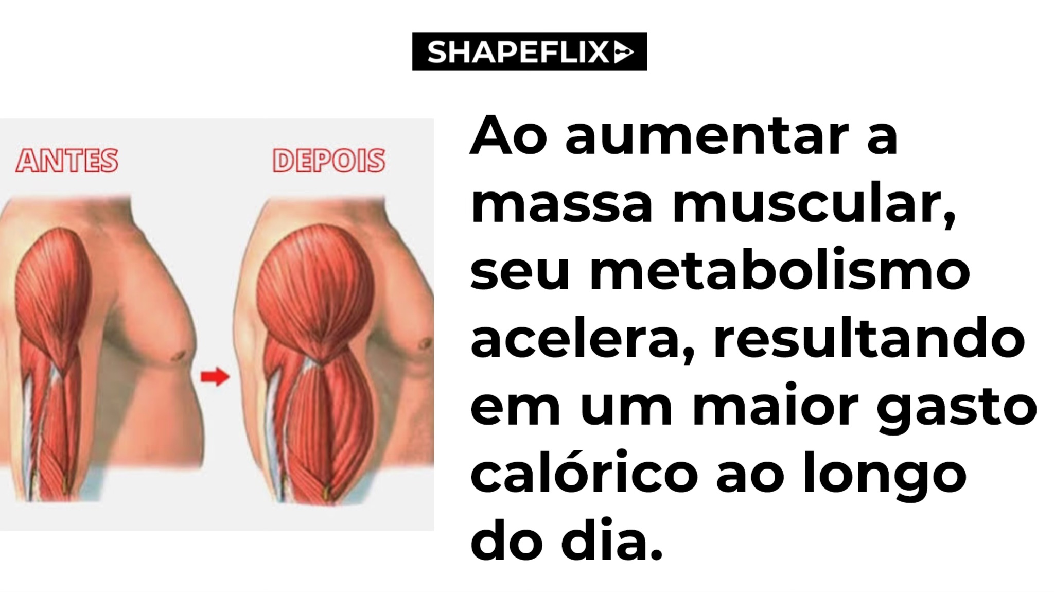 Dia 10 _ Slide 2