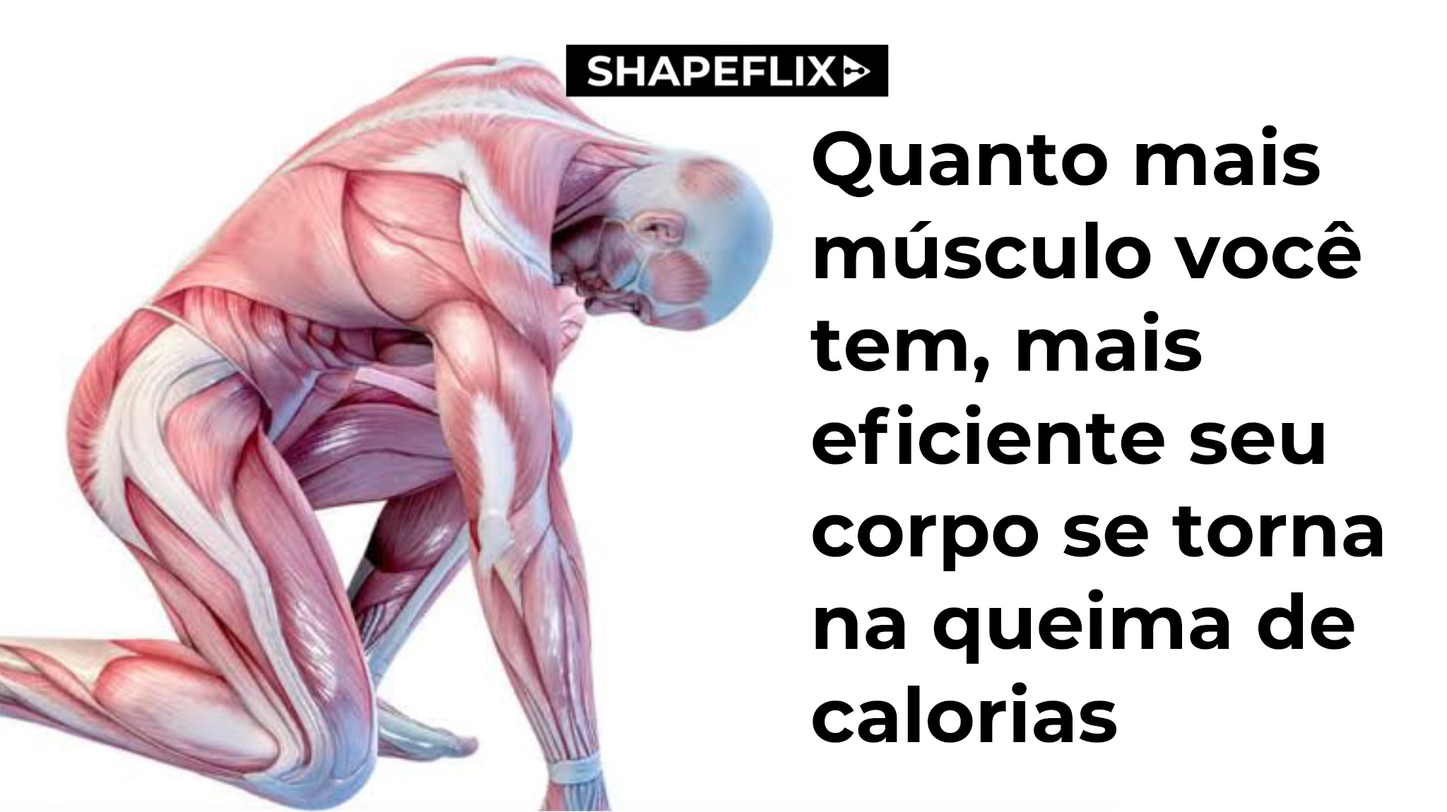 Dia 10 _ Slide 3